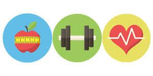 Wellness Plan 